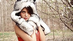 Bailey Knox - Wolf Hunter.